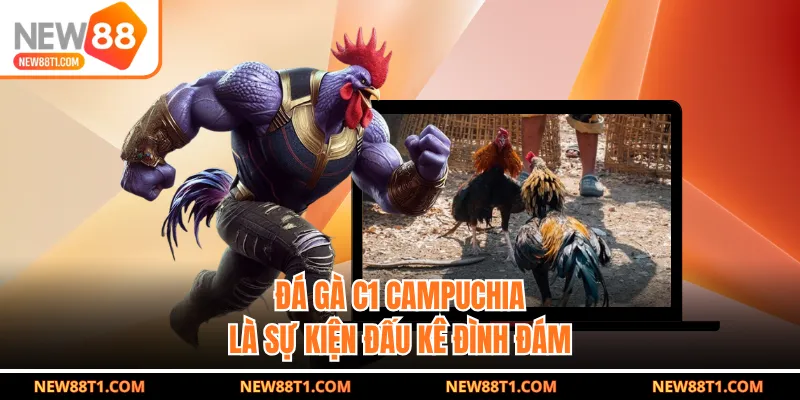 Đá gà C1 Campuchia là sự kiện đấu kê đình đám Đá gà C1 Campuchia là sự kiện đấu kê đình đám