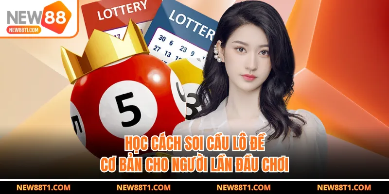 Học cách soi cầu lô đề cơ bản cho người lần đầu chơi Học cách soi cầu lô đề cơ bản cho người lần đầu chơi