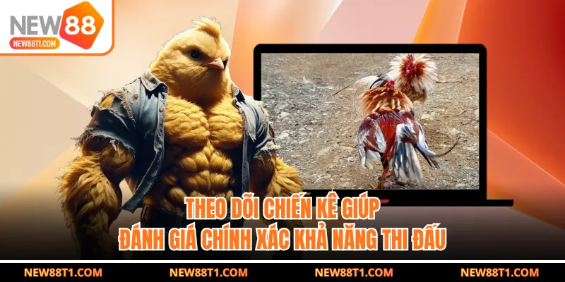 Theo dõi chiến kê giúp đánh giá chính xác khả năng thi đấu Theo dõi chiến kê giúp đánh giá chính xác khả năng thi đấu
